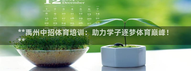耀世平台代理怎么样可靠吗：**禹州中招体育培训：助力