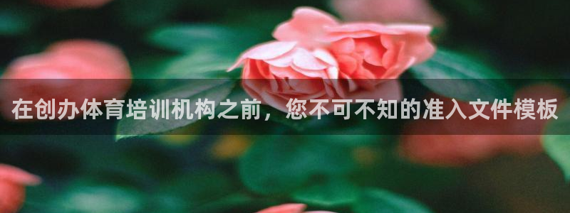 耀世令有什么用：在创办体育培训机构之前，您不可不知的
