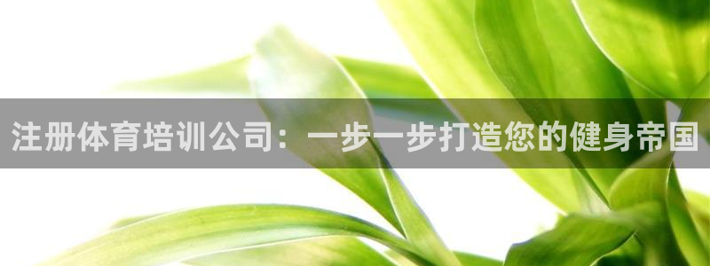 耀世娱乐平台注册地址在哪里查：注册体育培训公司：一步一步打造