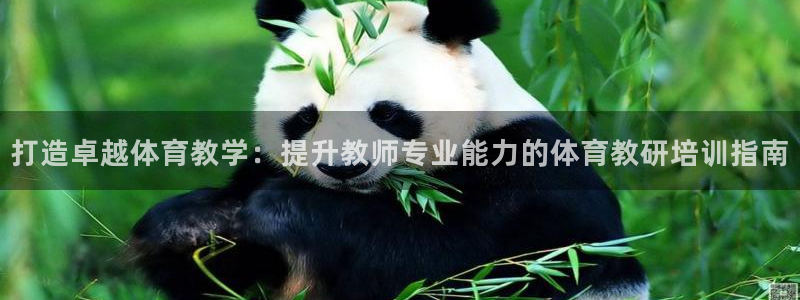 耀世娱乐官方网站：打造卓越体育教学：提升教师专业能力