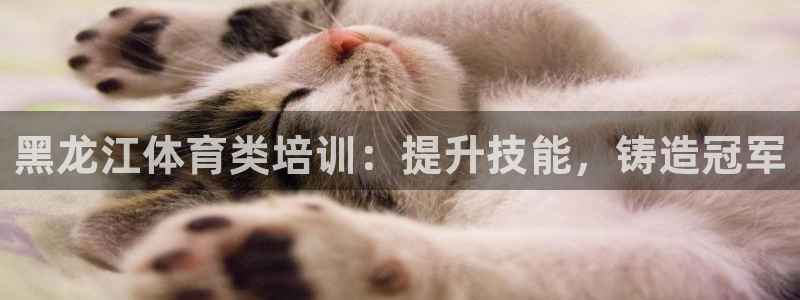 耀世平台注册流程图：黑龙江体育类培训：提升技能，铸造冠军
