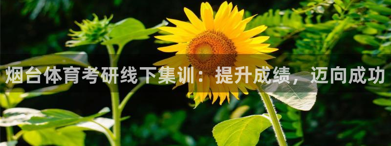 耀世集团是干嘛的企业啊：烟台体育考研线下集训：提升成
