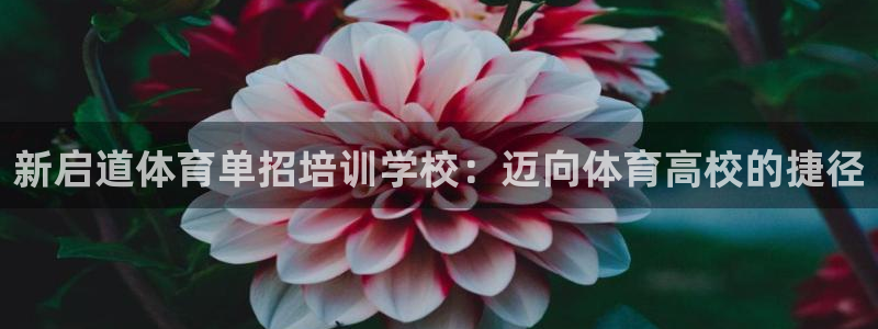耀世娱乐是不是赚钱快：新启道体育单招培训学校：迈向体