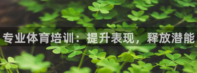 耀世平台可 585341 平台：专业体育培训：提升表