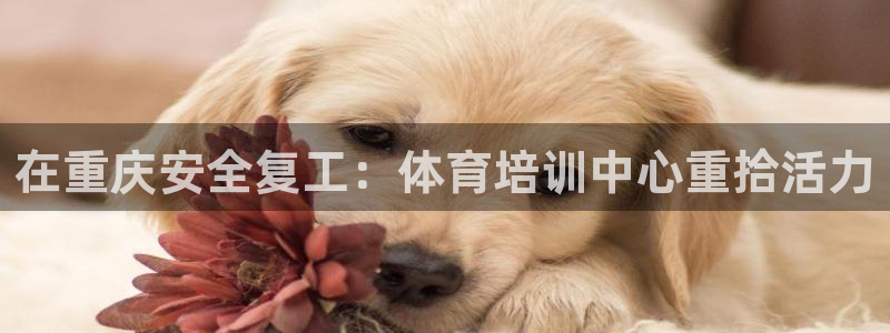 耀世娱乐如何登录账号啊：在重庆安全复工：体育培训中心