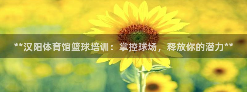 耀世天下图片大全：**汉阳体育馆篮球培训：掌控球场，