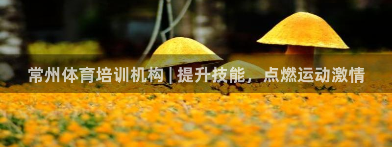 耀世平台总代理是谁：常州体育培训机构 | 提升技能，点燃运动
