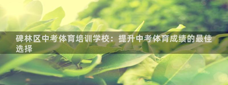 耀世娱乐注册官网入口：碑林区中考体育培训学校：提升中