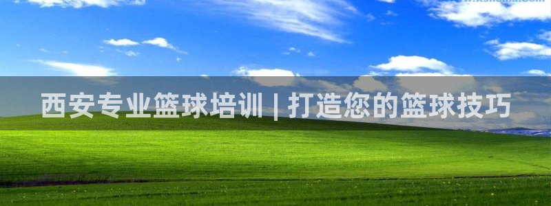 耀世娱乐下载最新版本安装包：西安专业篮球培训 | 打造您的篮