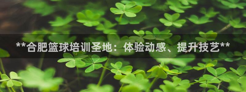 耀世平台代理怎么样：**合肥篮球培训圣地：体验动感、提升技艺