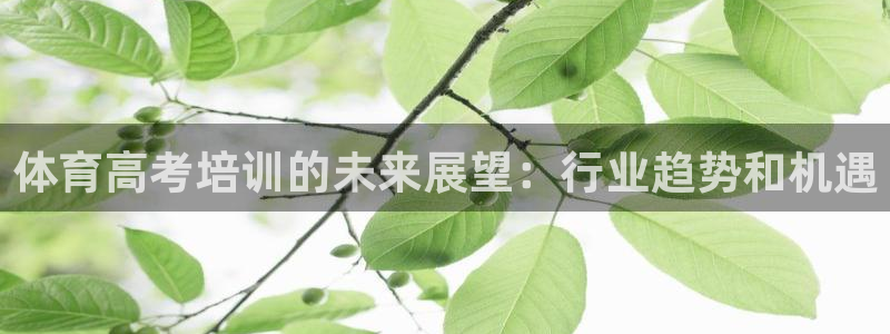 耀世娱乐官网网站：体育高考培训的未来展望：行业趋势和