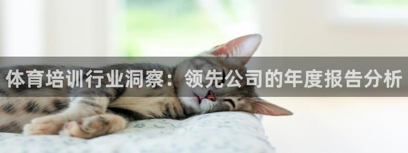 耀世集团视频介绍大全：体育培训行业洞察：领先公司的年