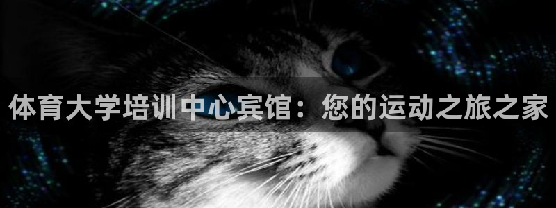 耀世盛典手游下载官网：体育大学培训中心宾馆：您的运动