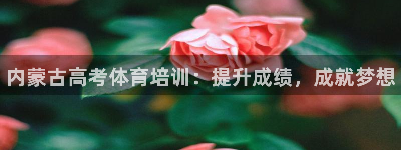 耀世的拼音：内蒙古高考体育培训：提升成绩，成就梦想
