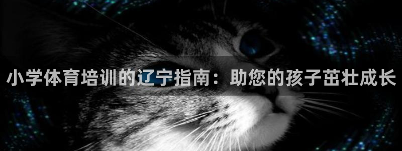 耀世娱乐挂机教程下载：小学体育培训的辽宁指南：助您的