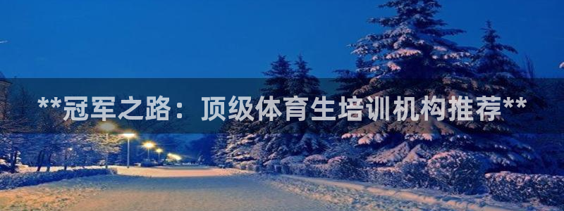 耀世娱乐平台官网登录不了怎么回事：**冠军之路：顶级