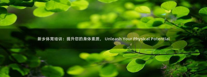 耀世集团商业联盟罗文斌：新乡体育培训：提升您的身体素