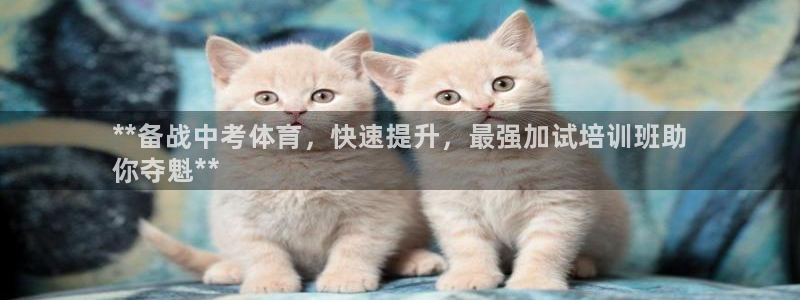 耀世娱乐能提现：**备战中考体育，快速提升，最强加试