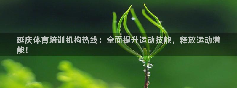 耀世金生产品介绍：延庆体育培训机构热线：全面提升运动