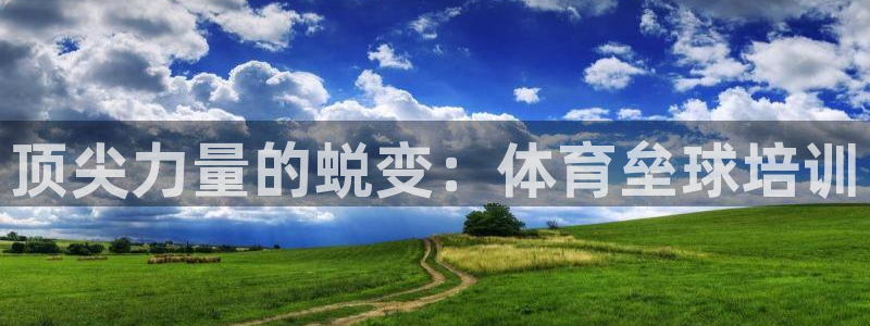 耀世平台管 411O31 平台：顶尖力量的蜕变：体育