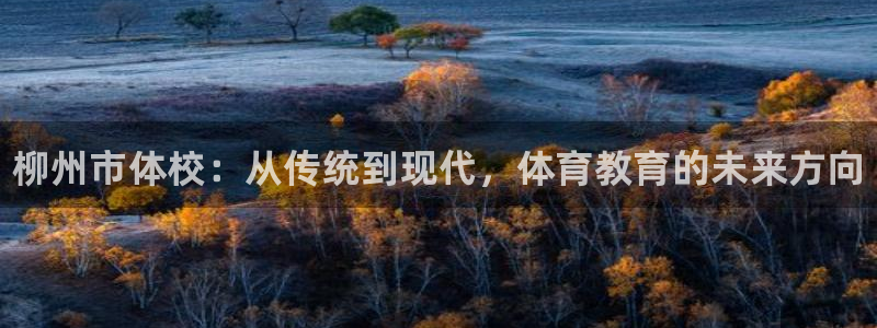 耀世平台人才：柳州市体校：从传统到现代，体育教育的未