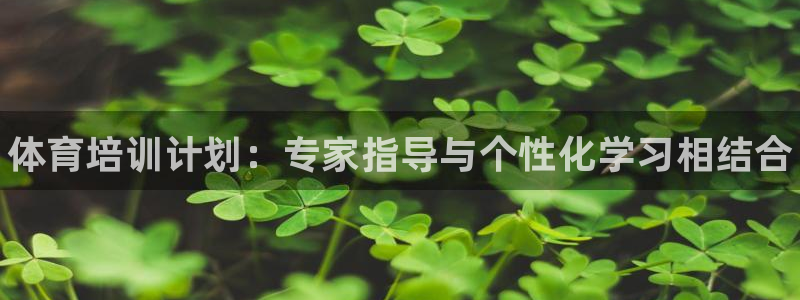 耀世娱乐辅助软件下载安装：体育培训计划：专家指导与个