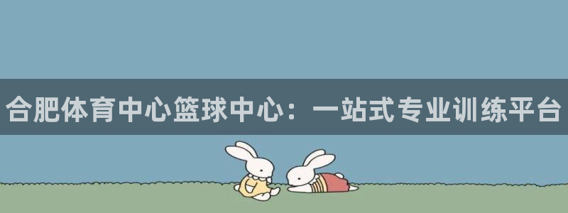 耀世娱乐登录注册不了：合肥体育中心篮球中心：一站式专