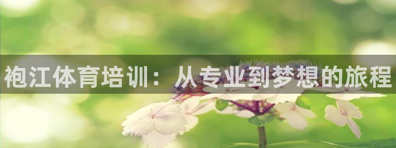 耀世的意思是什么：袍江体育培训：从专业到梦想的旅程