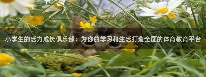 耀世集团视频：小学生的活力成长俱乐部：为你的学习和生