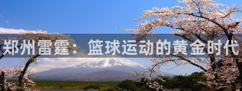 耀世娱乐官方网站：郑州雷霆：篮球运动的黄金时代